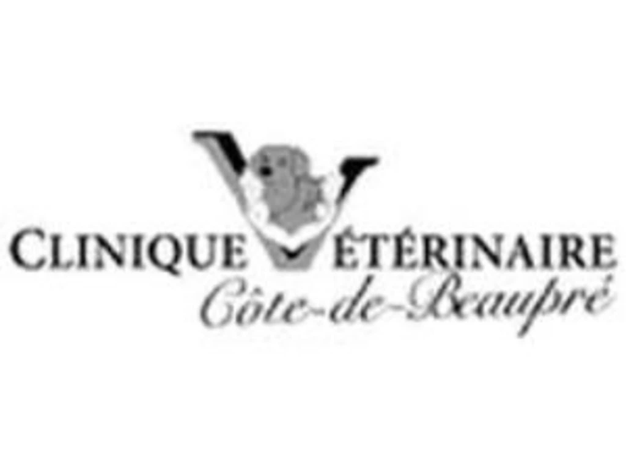 photo Clinique Vétérinaire Côte-de-Beaupré
