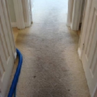 Complete Steam Clean - Janitorial Service