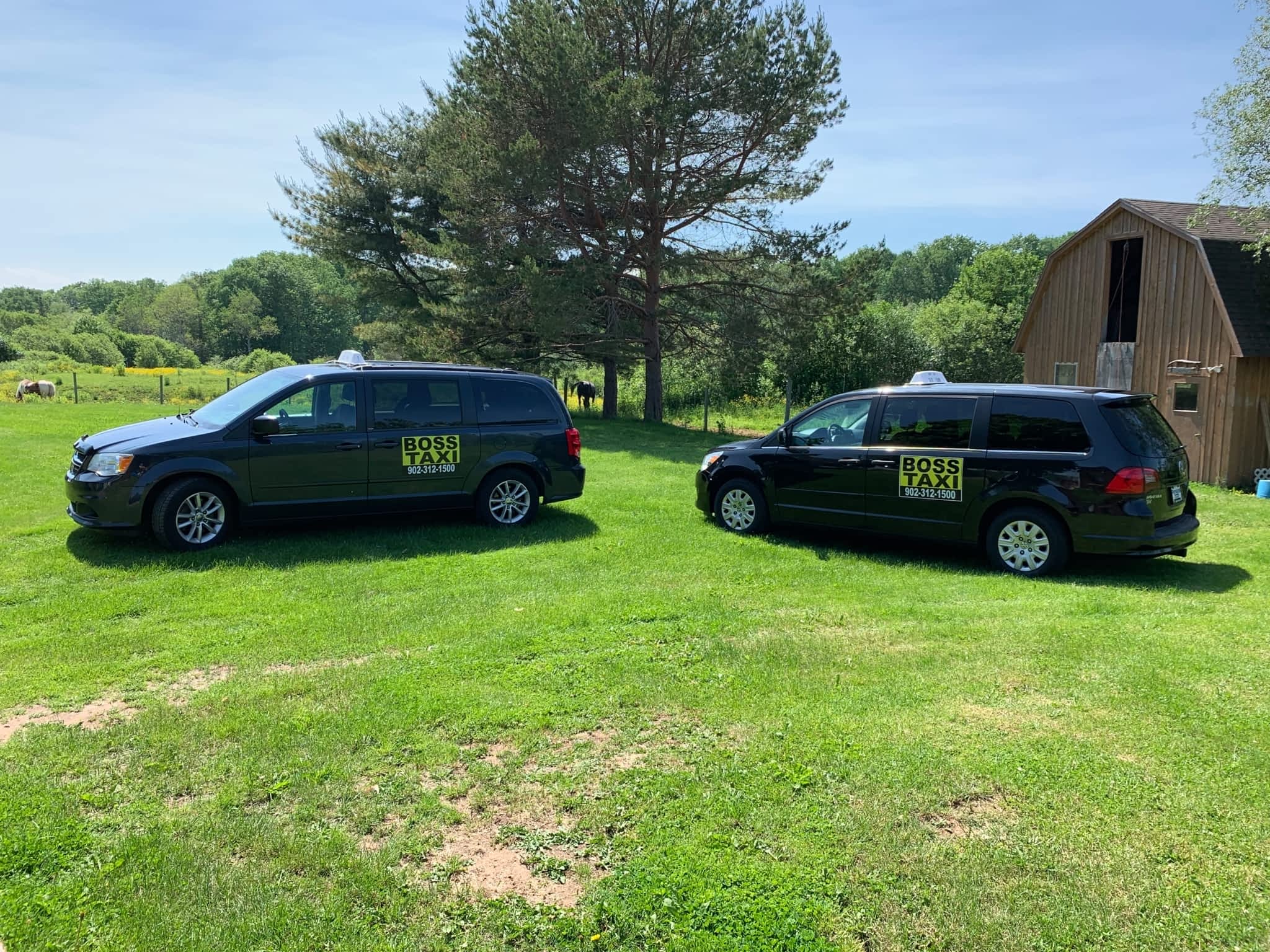 photo Boss Transportation