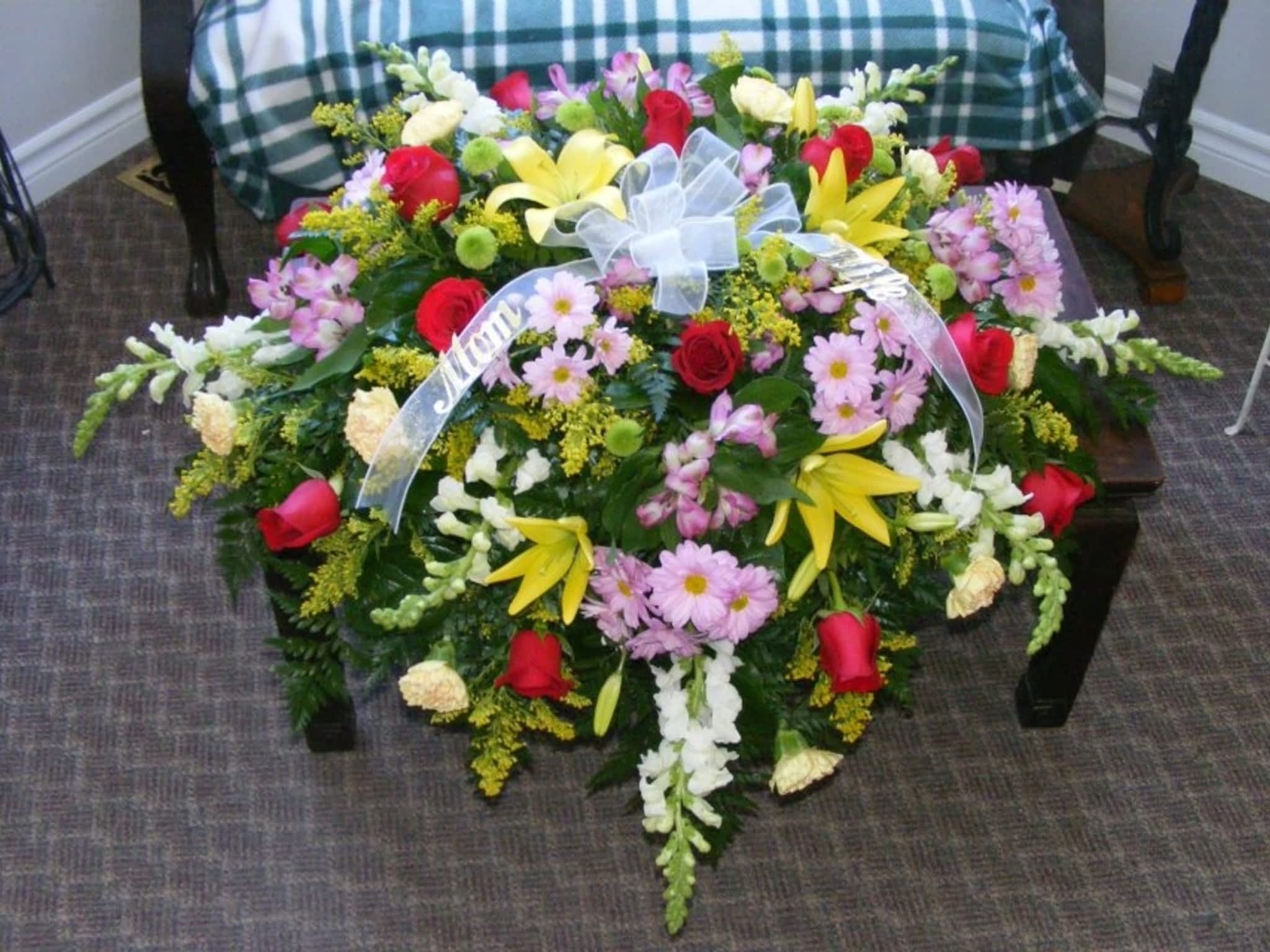 photo Blooms Flowers