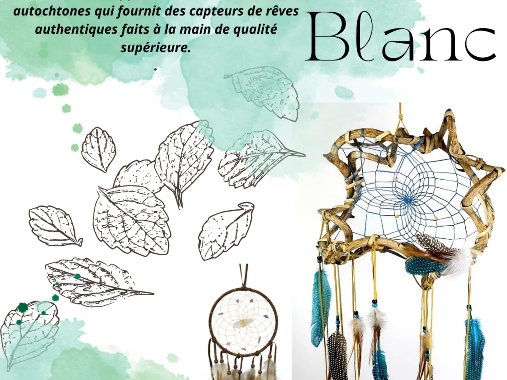 photo Hibou Blanc inc