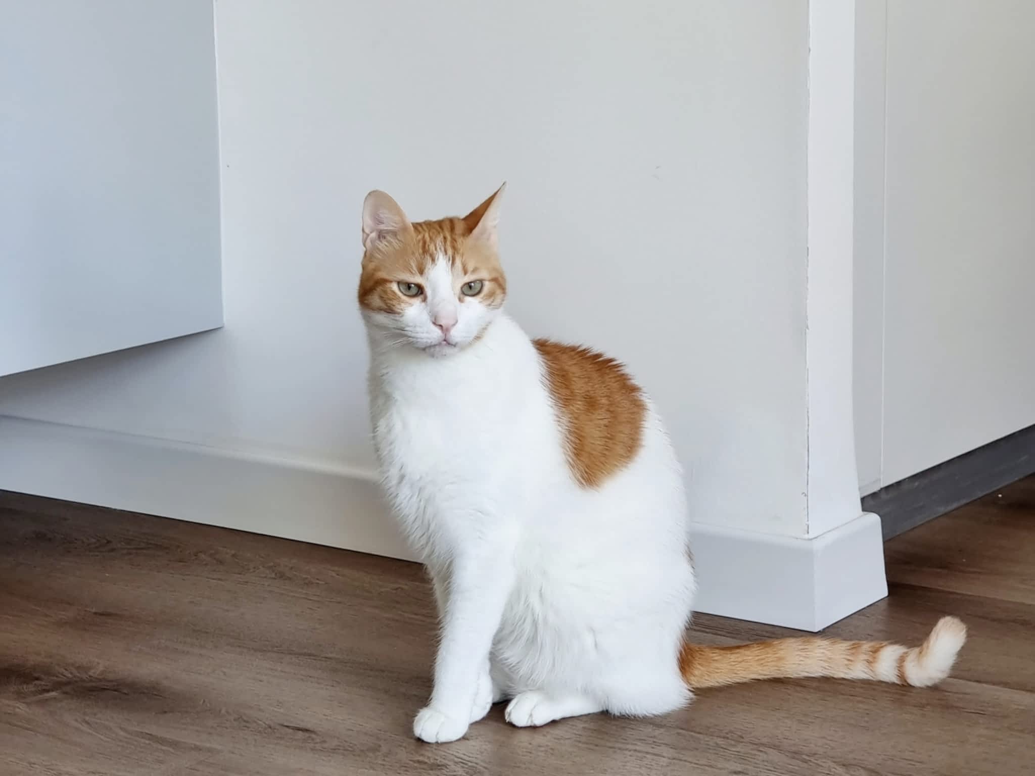 photo Refloor Canada