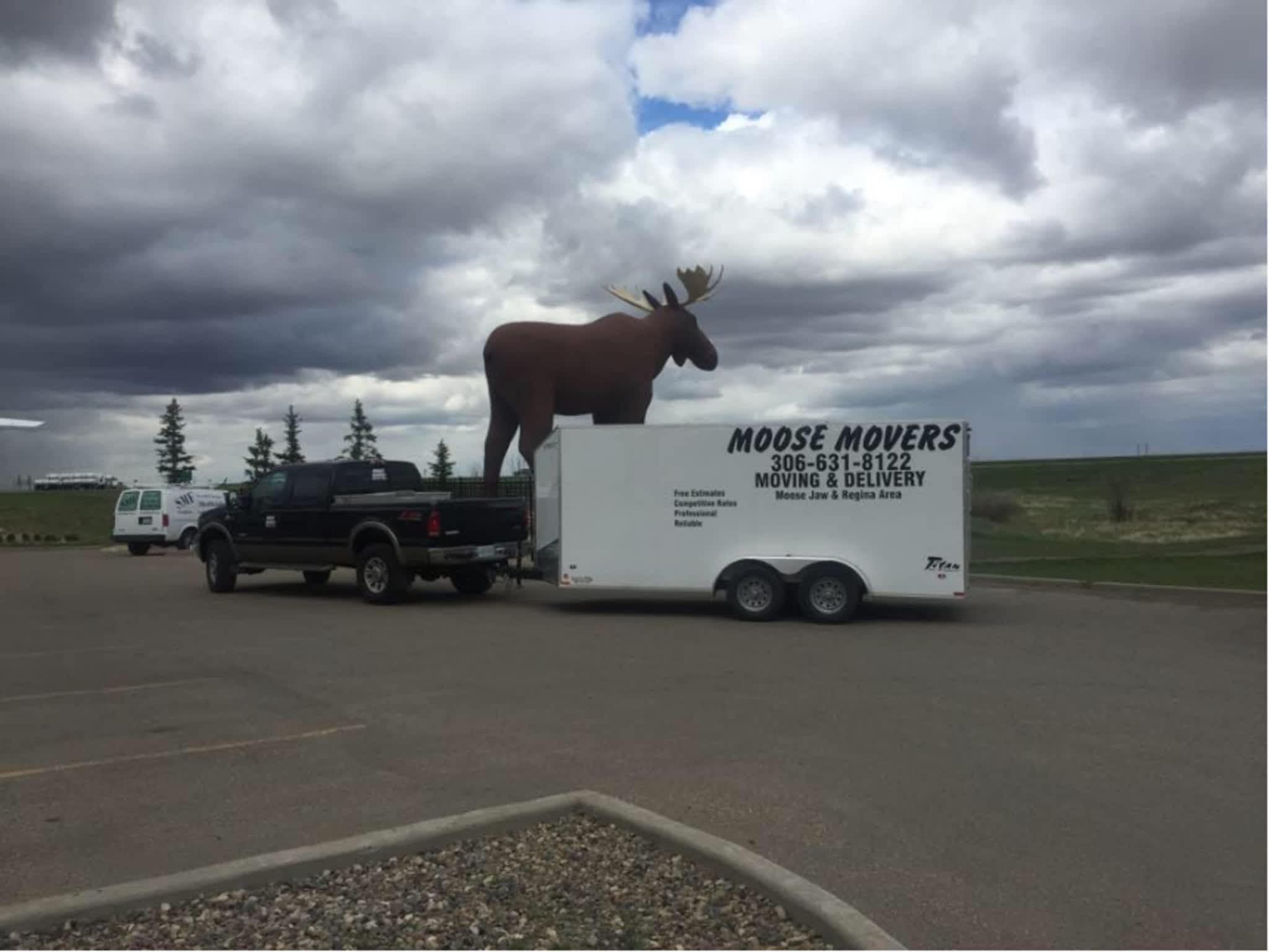 photo Moose Movers