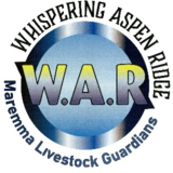 Whispering Aspen Ridge Maremmas - Éleveurs d'animaux