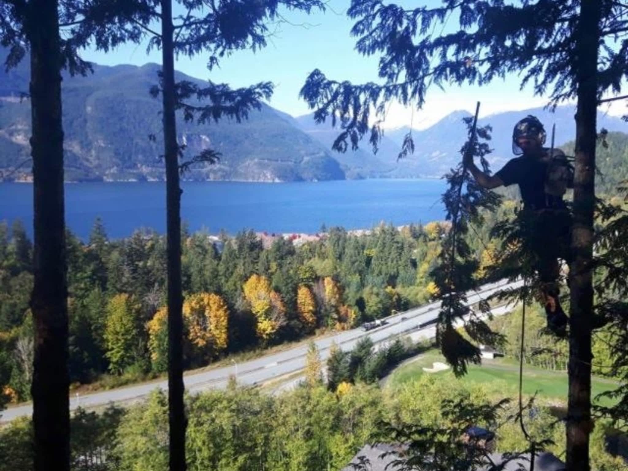 photo Windfirm Tree Services