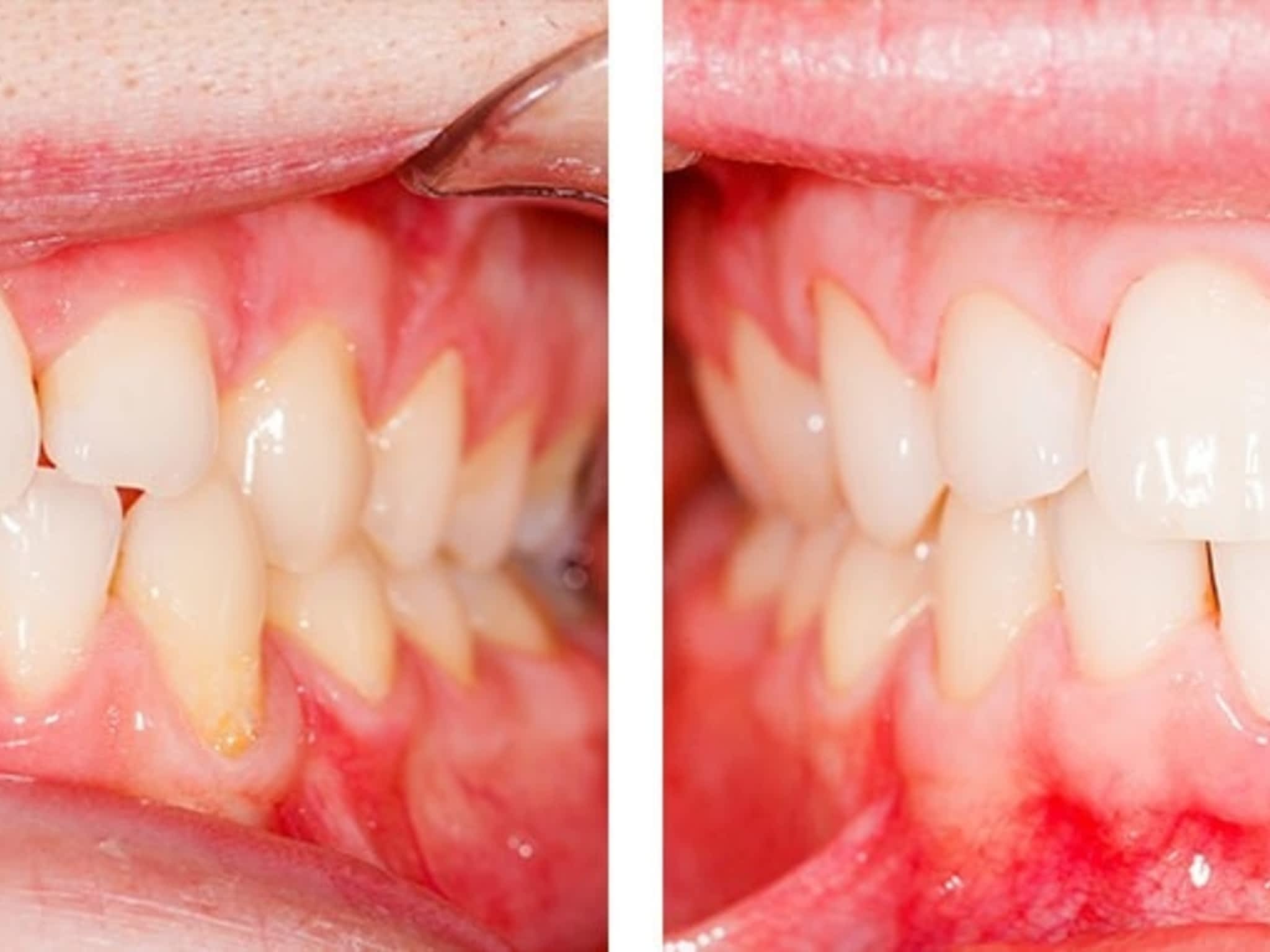 photo Dr Mingming Yan