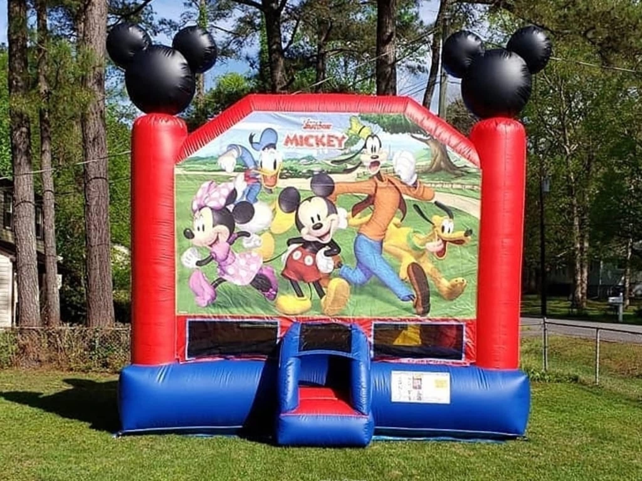 photo Inflatable Bouncy Castles