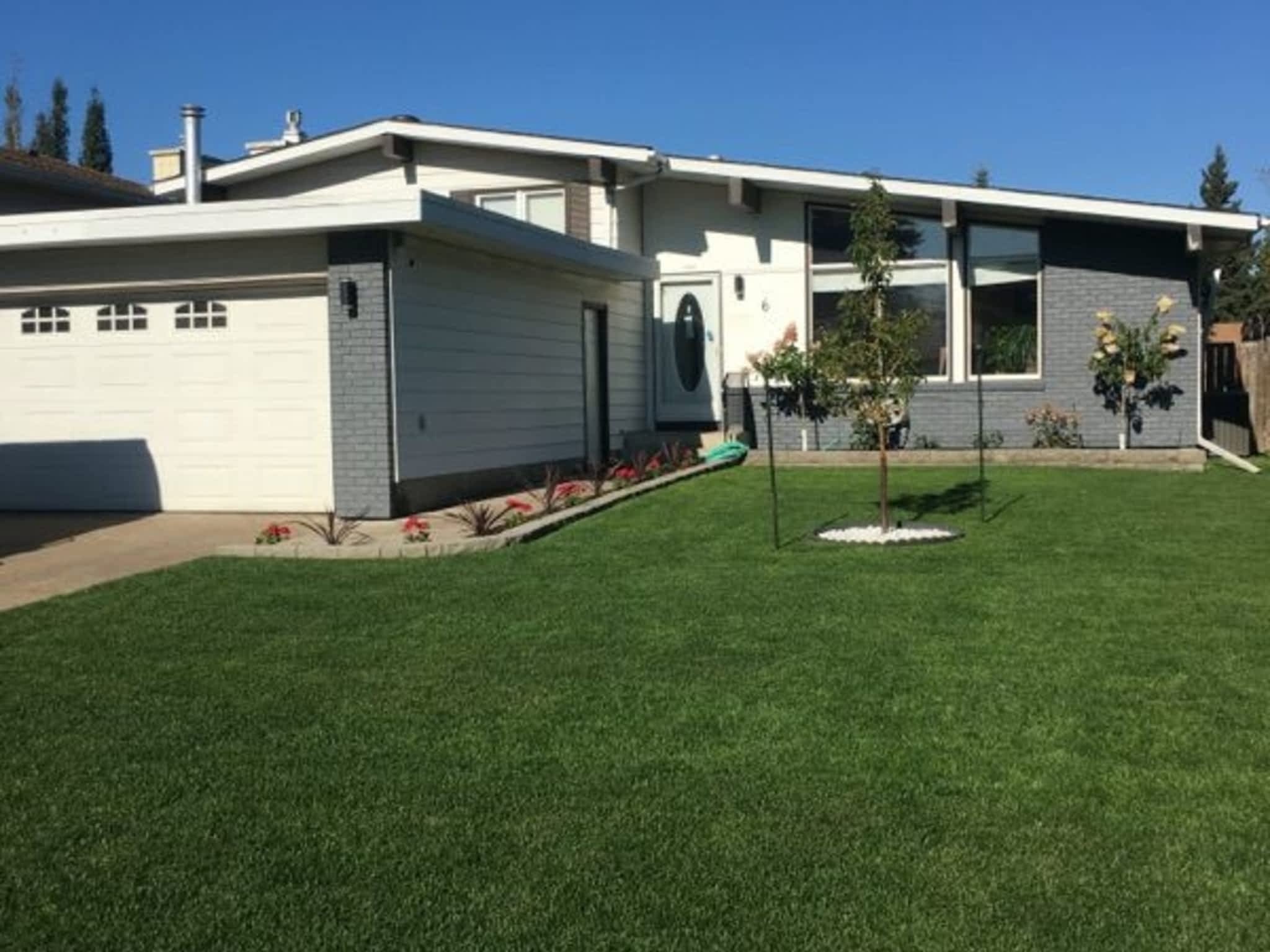 photo Tree Solutions