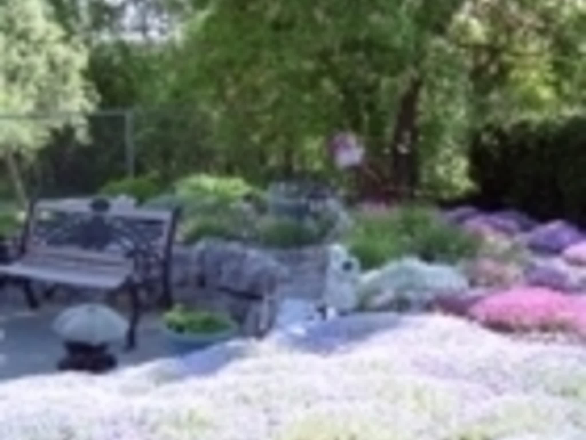 photo Creative Landscape & Design Ltd