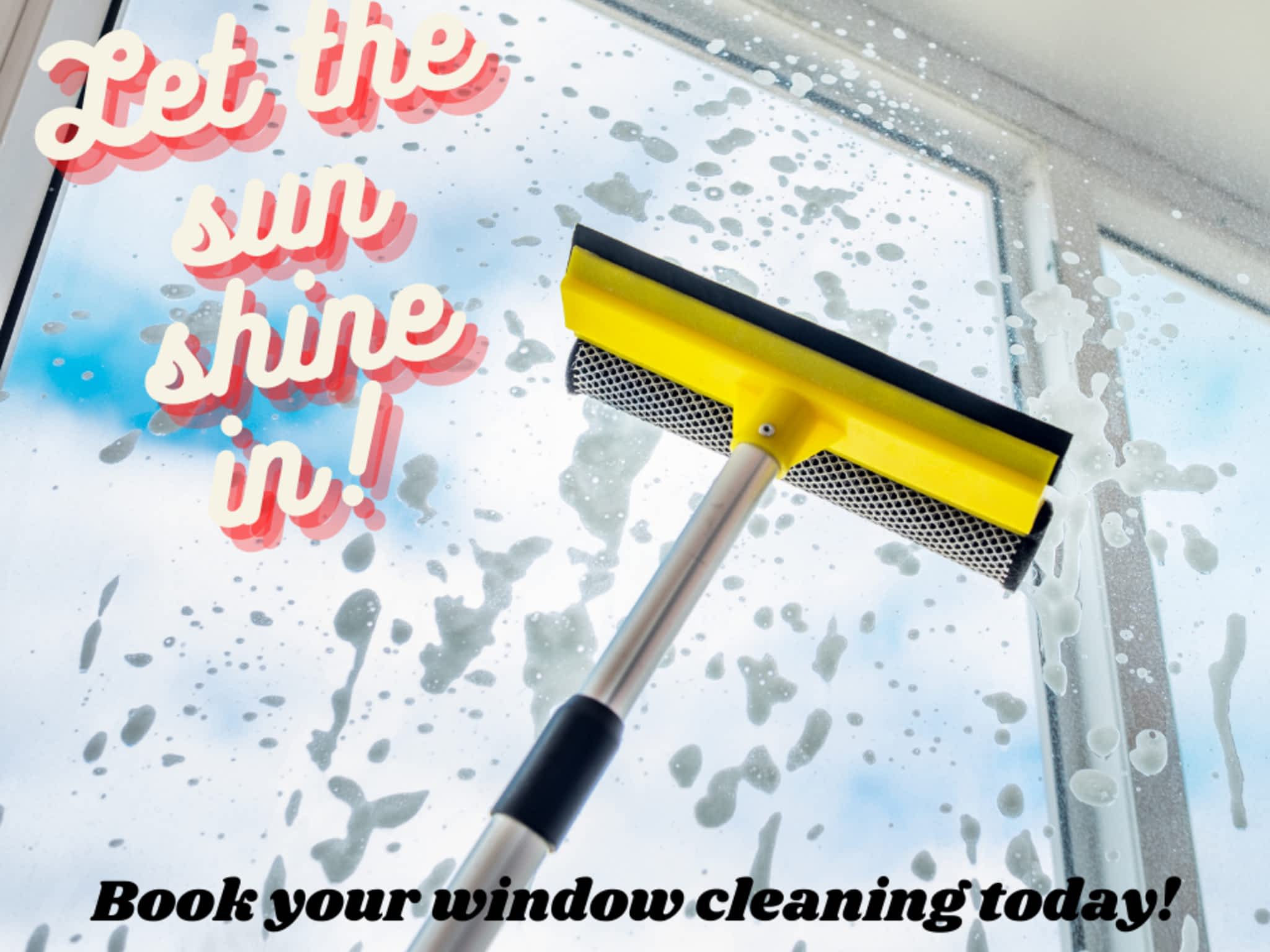 photo The Window Guy