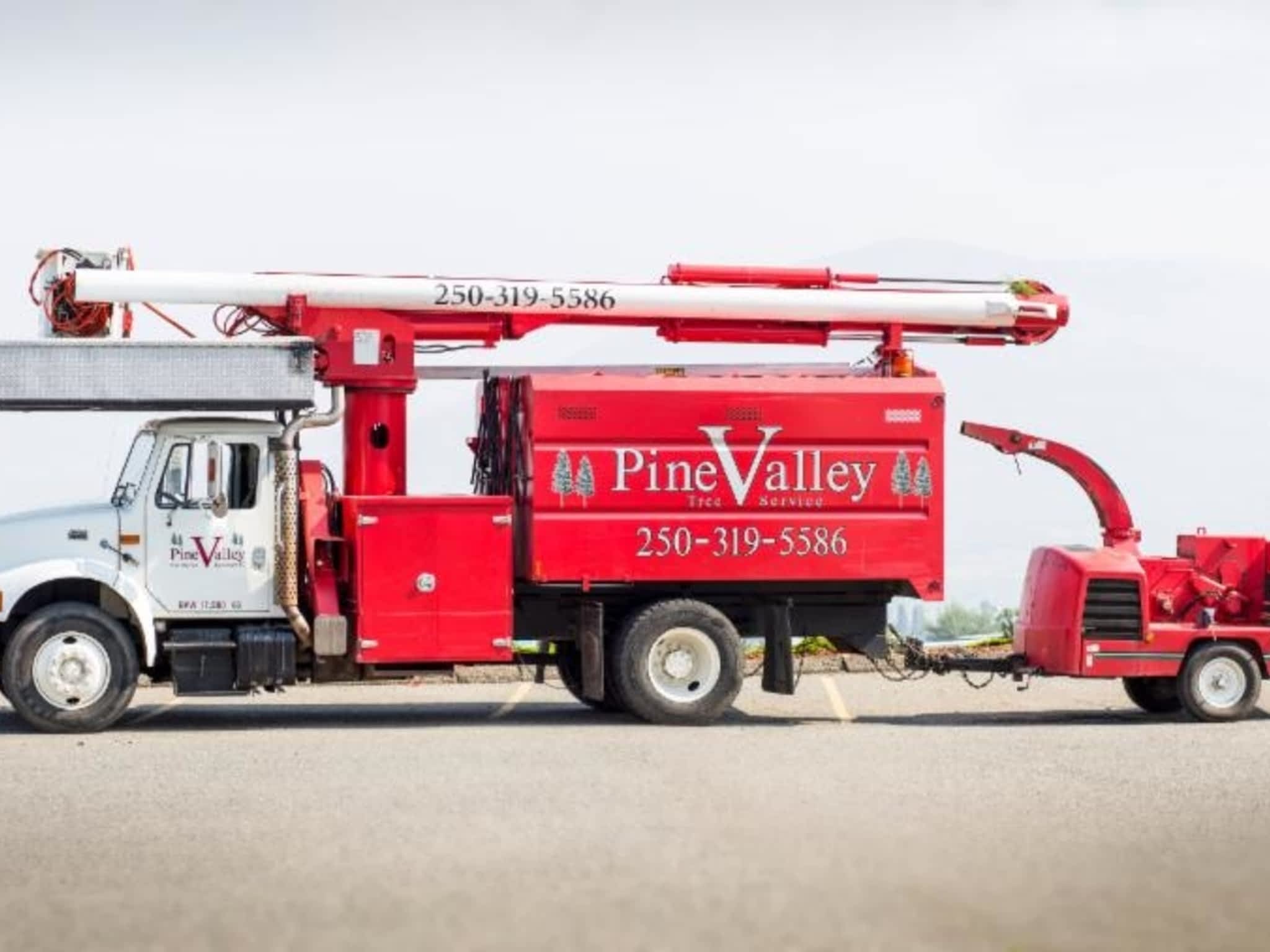 photo Pine Valley Contracting & Tree Services