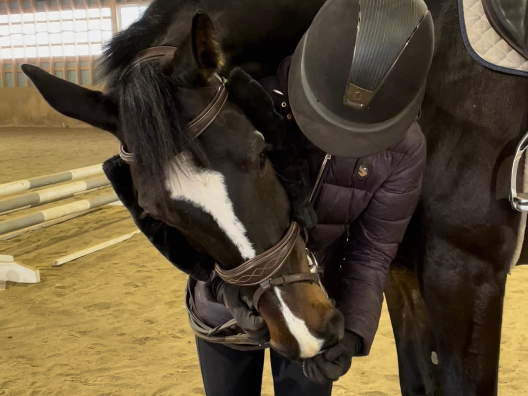 photo Wynbrook Equestrian Centre