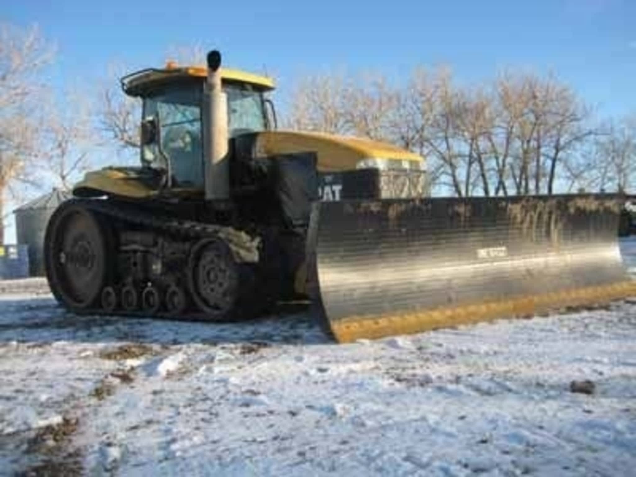 photo Elliott Cats Ltd