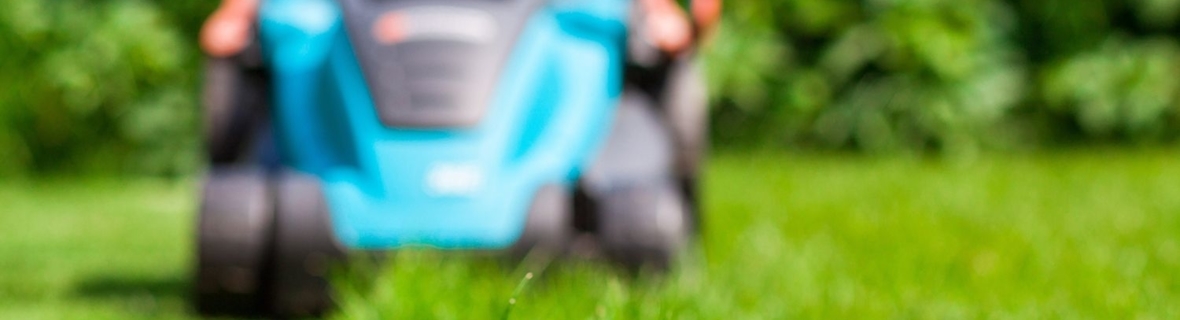 Fresh-cut finds: Where to shop for lawn mowers in Toronto