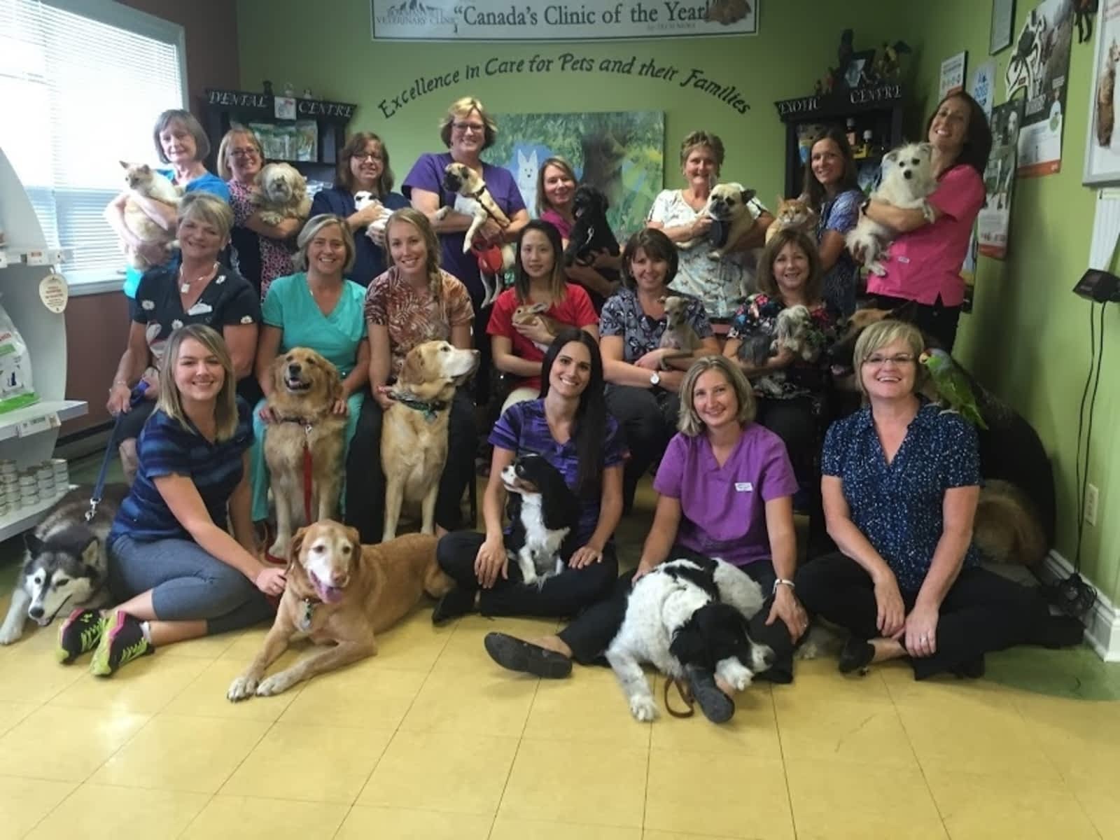 bowmanville veterinary clinic opening