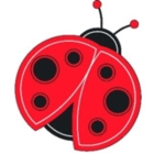 Ladybug Arborists - Service d'entretien d'arbres