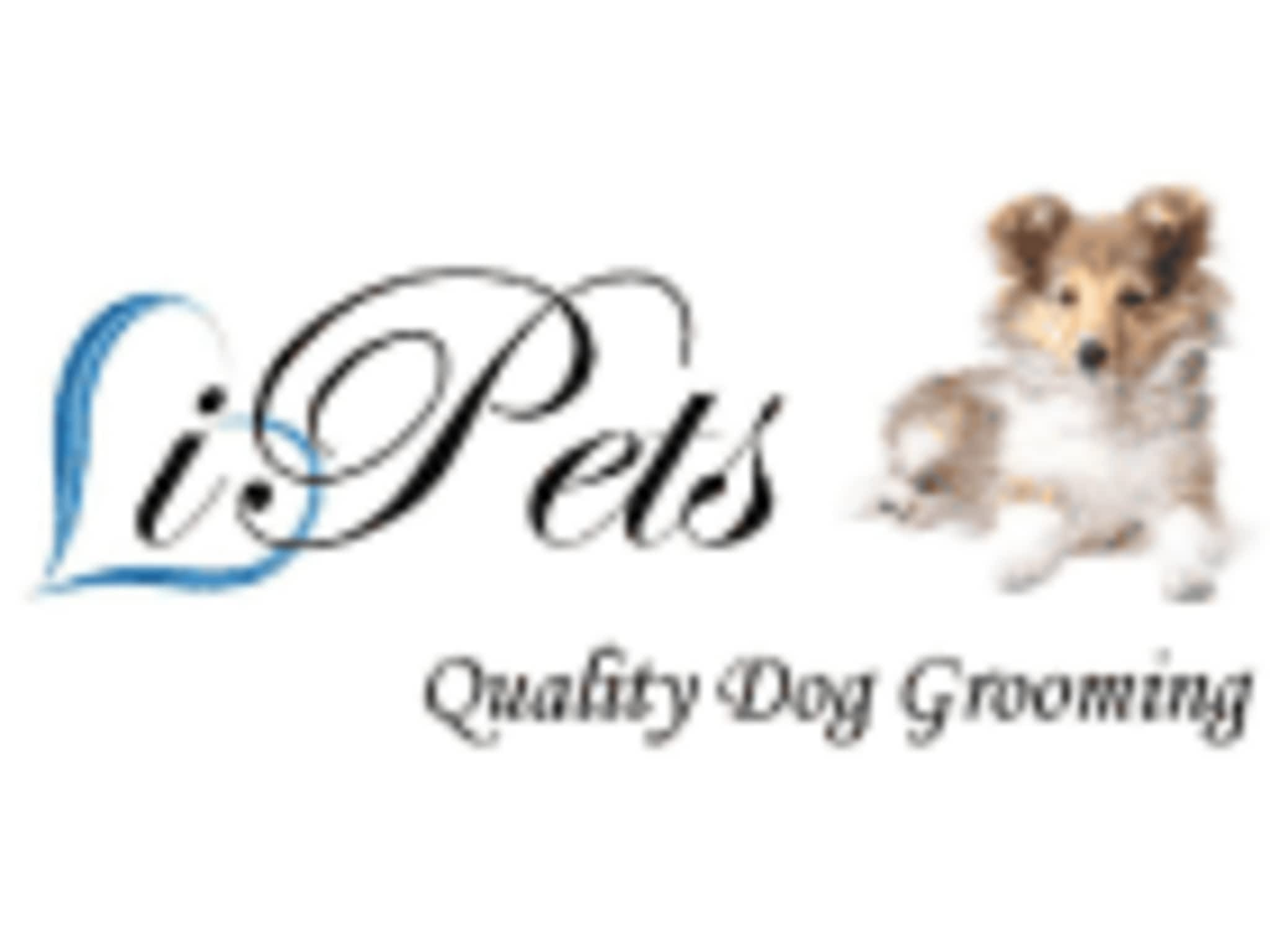 photo Ipetsgrooming