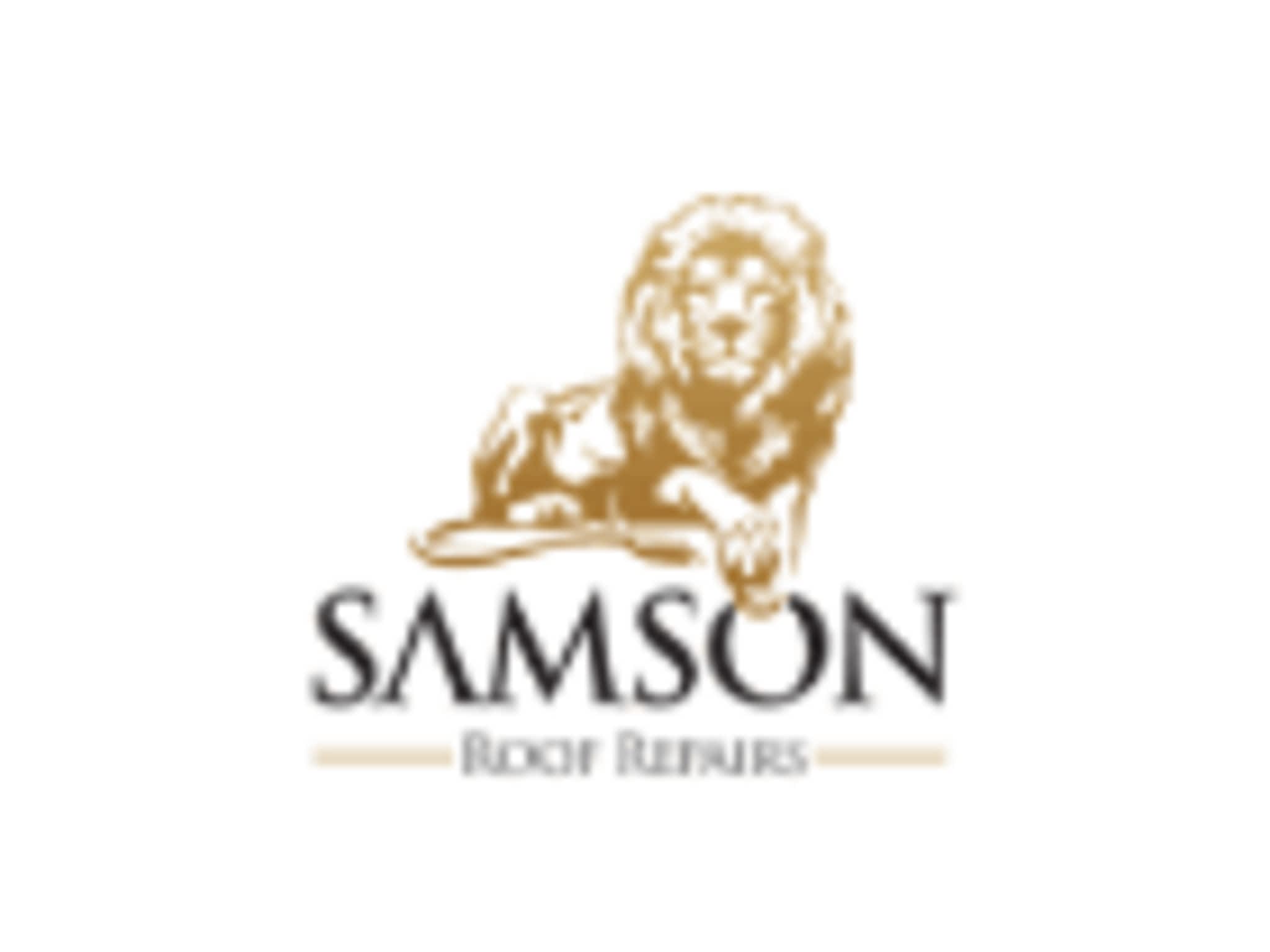 photo Samson Roof Repairs Ltd