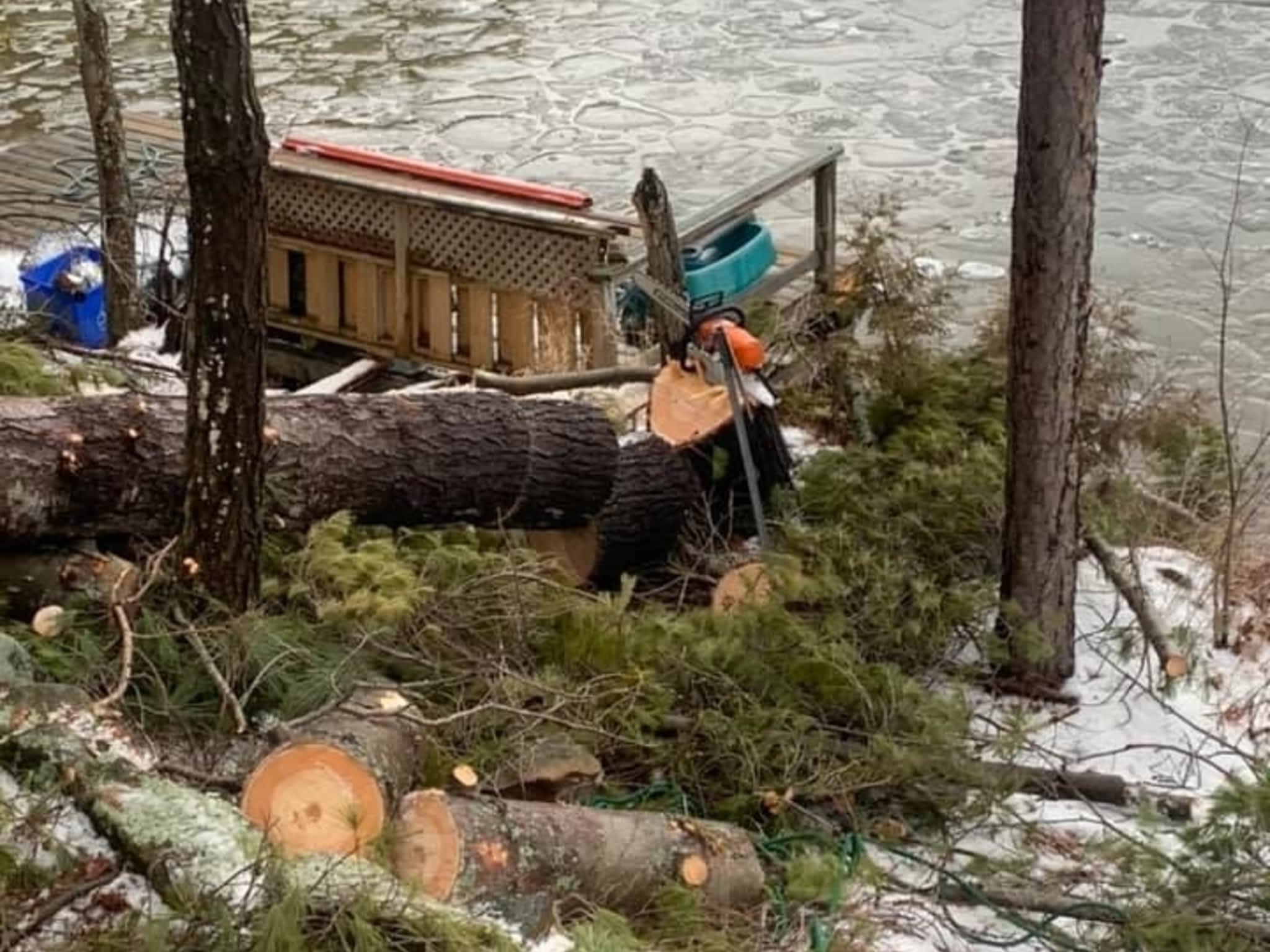 photo Sargeant Tree Removal