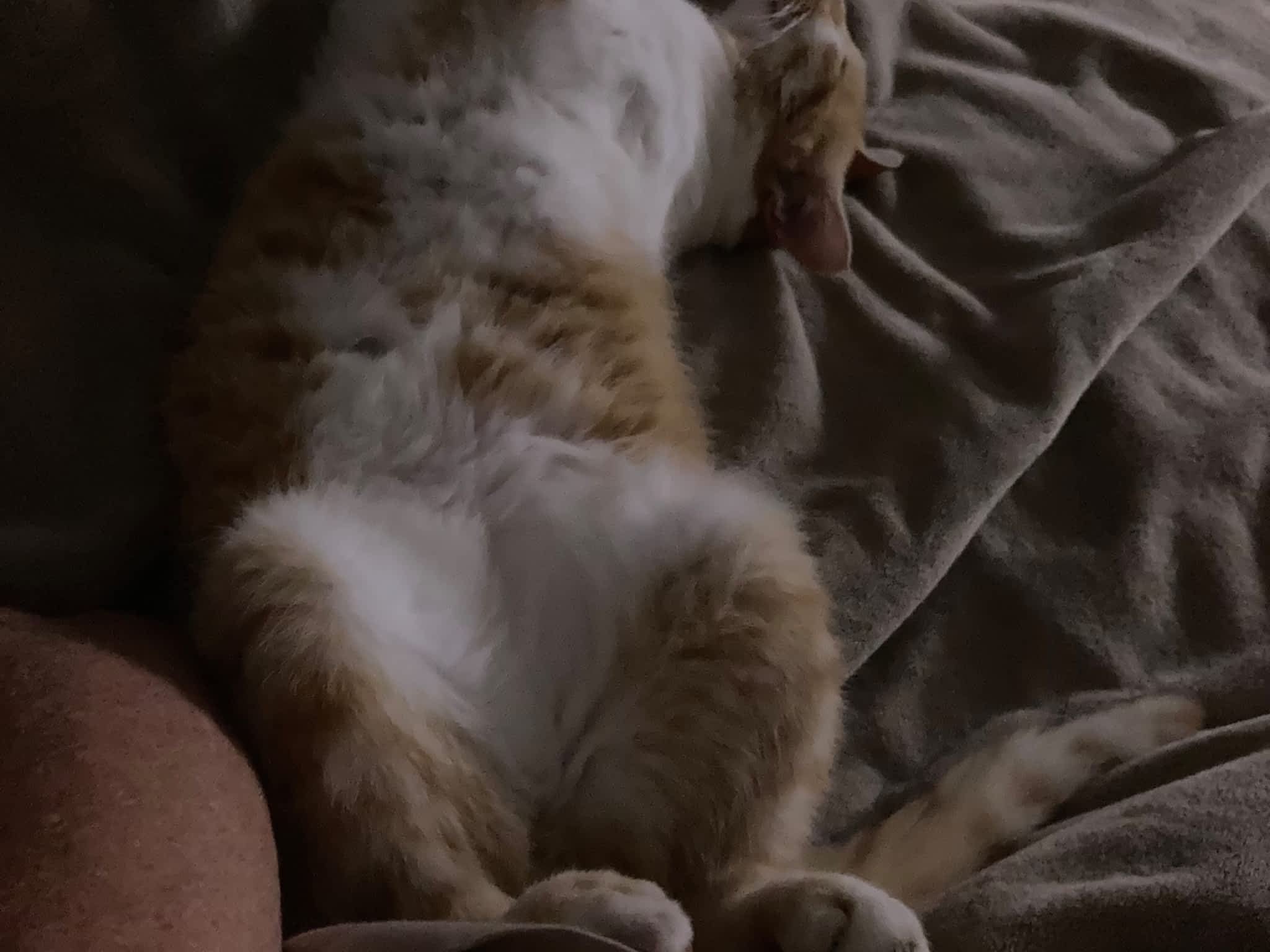 photo Wilson's Tile & Flooring