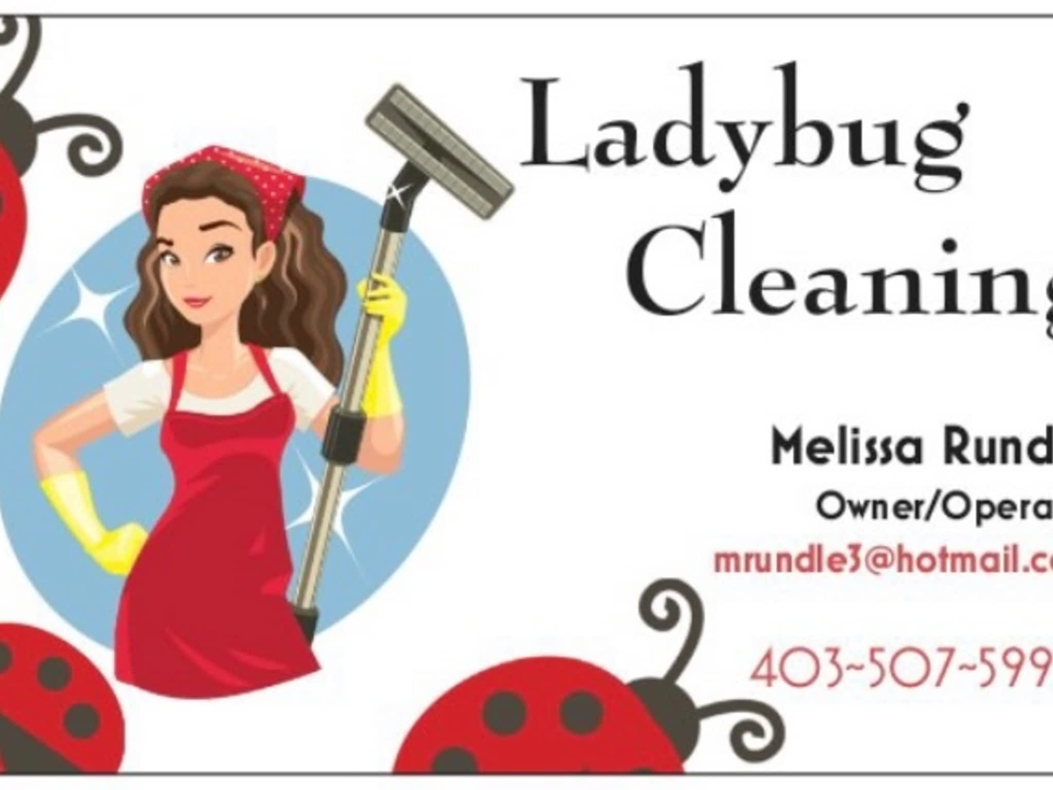 photo Ladybug Cleaning Services