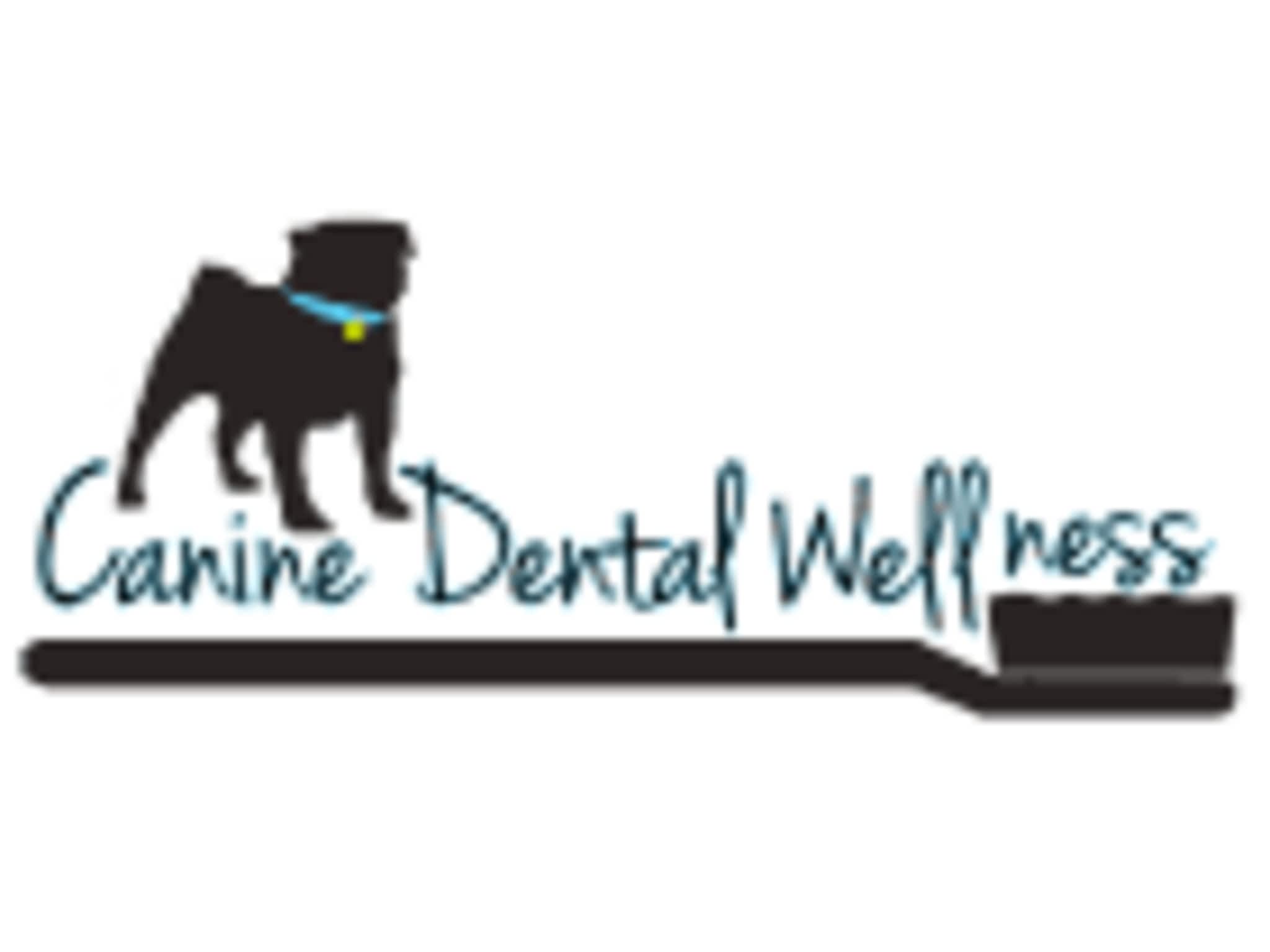 photo Canine Dental Wellness