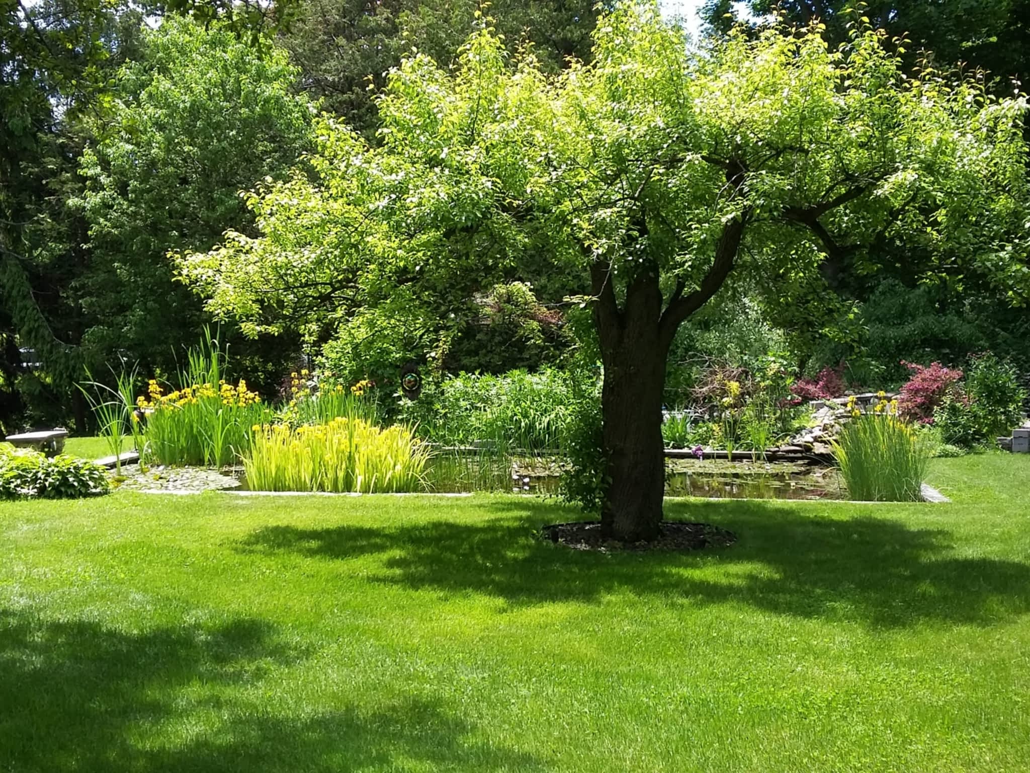 photo Two Guys Tree Services