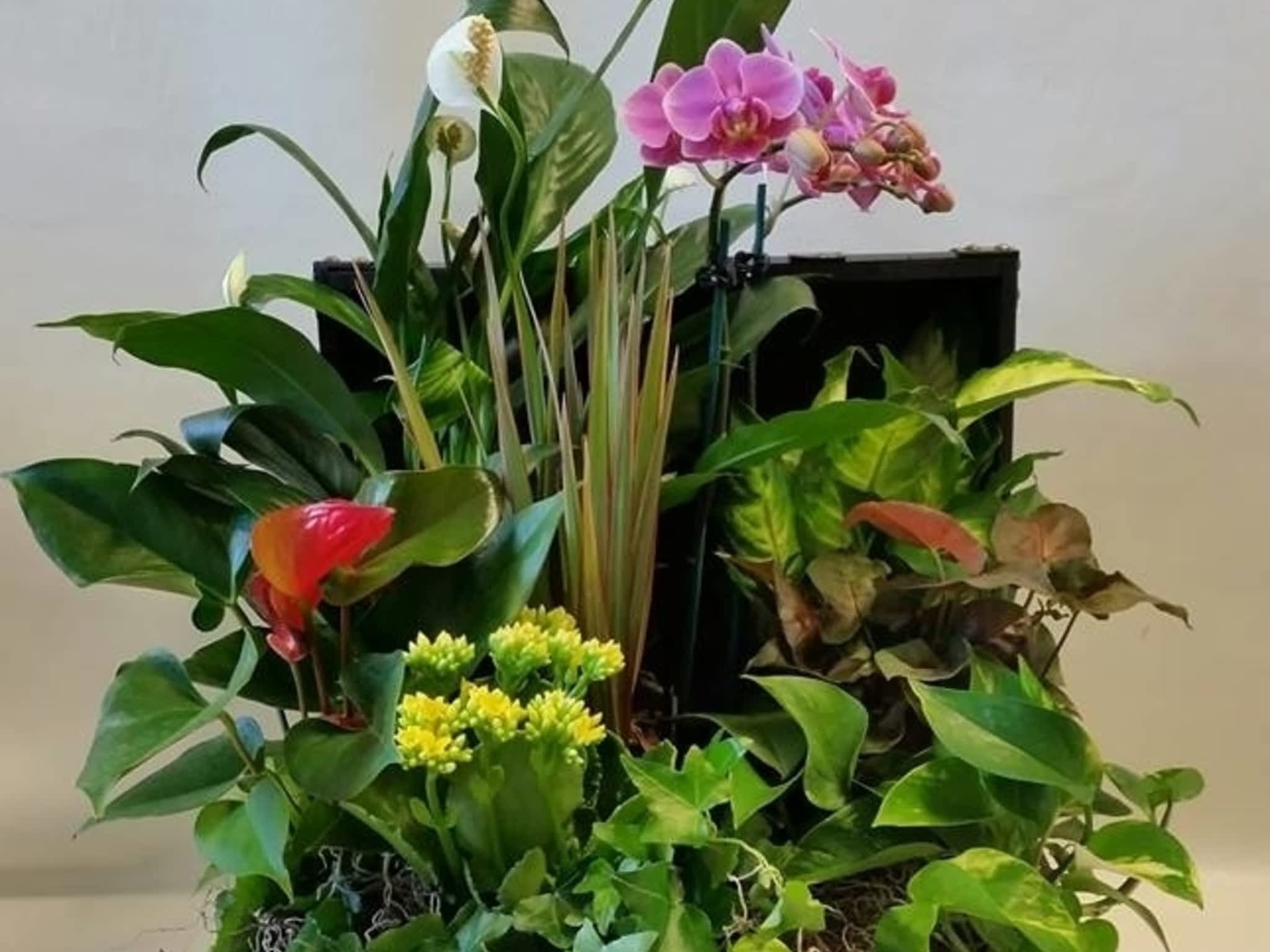 photo Raymonds Flower Shop