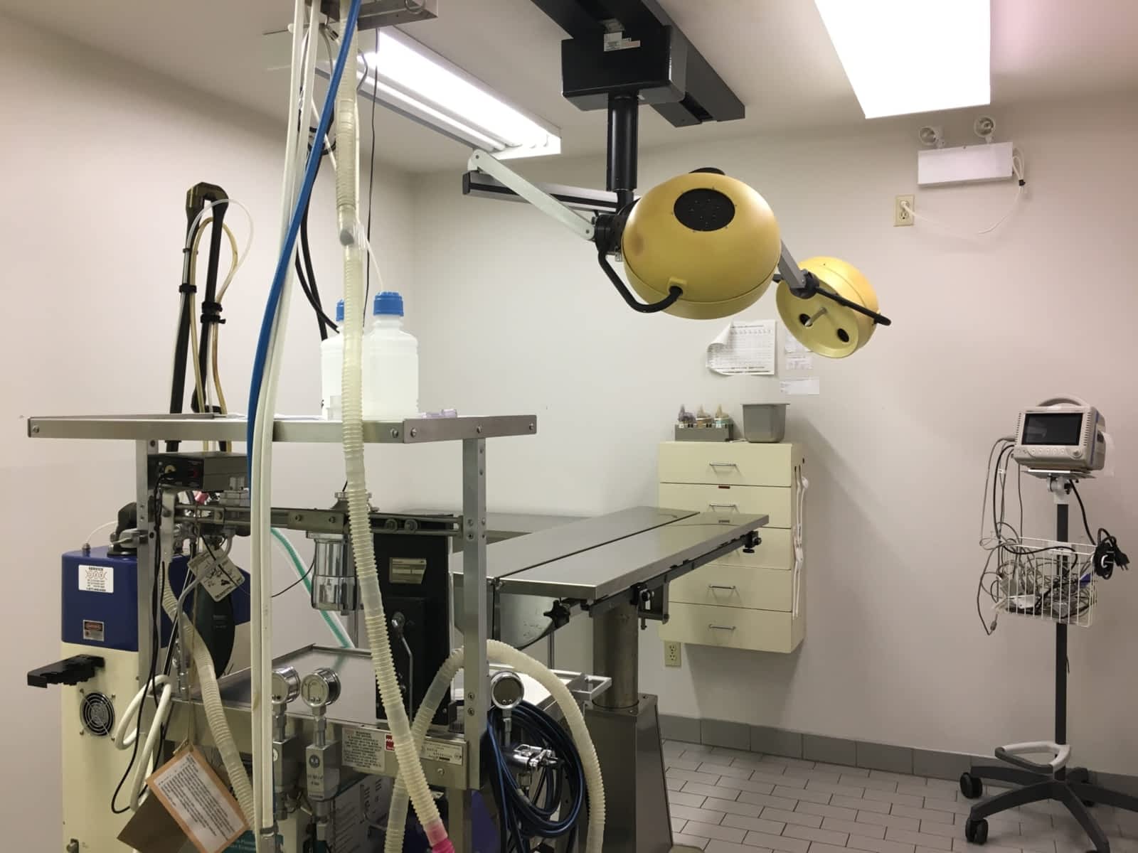Animal Hospital Of Kitchener Waterloo Kitchener On Animal Hospital Of Kitchener Waterloo Kitchener On