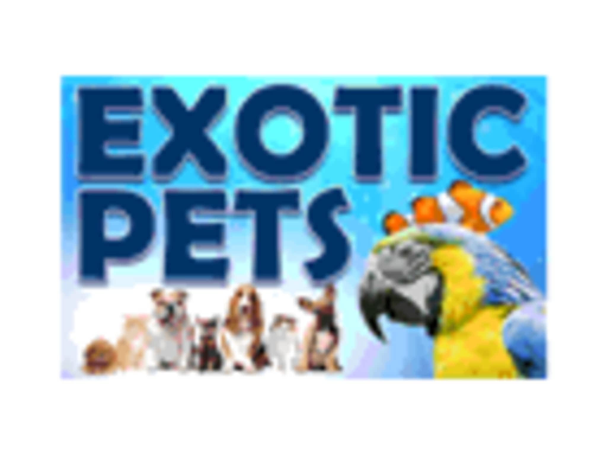 photo Exotic Pets