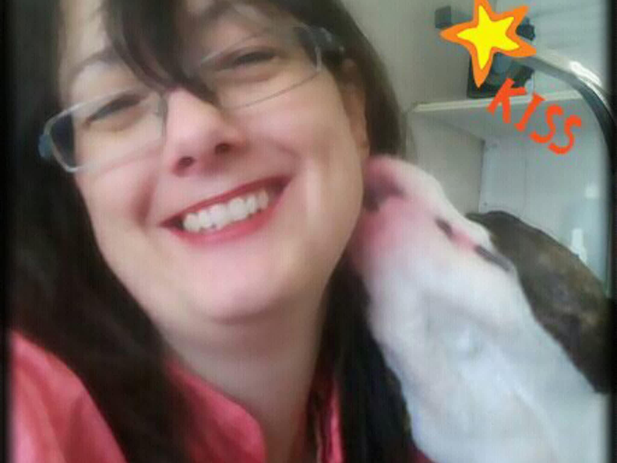 photo Thoughtful Paws