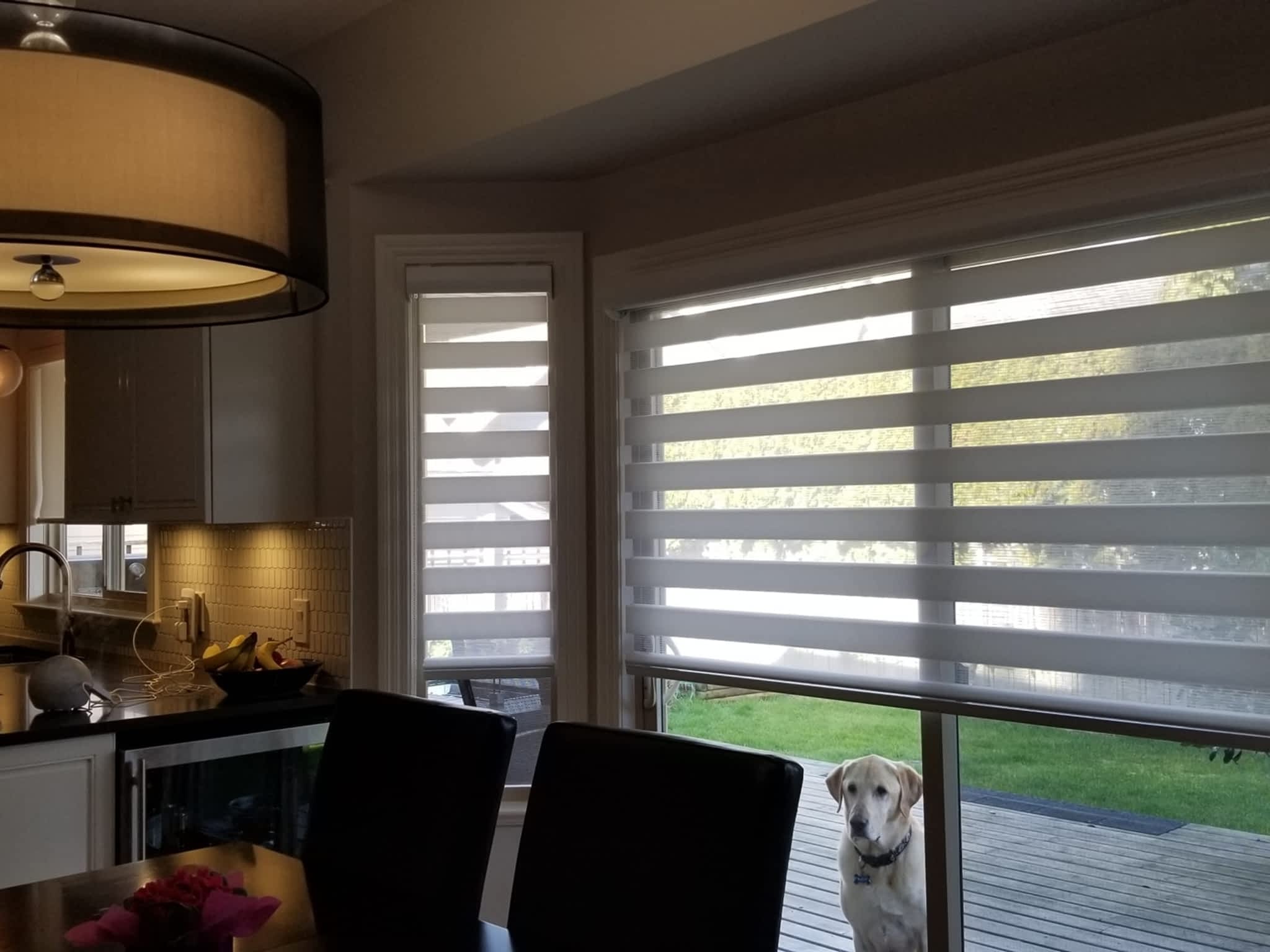 photo Magnif Window Coverings & Blinds