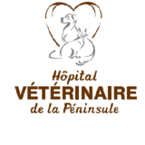 View Hôpital Vétérinaire de la Péninsule’s Bas-Caraquet profile