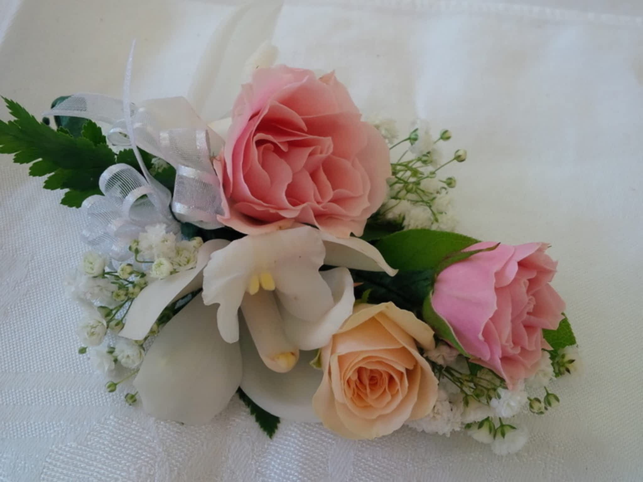 photo Sweetpea & Willow