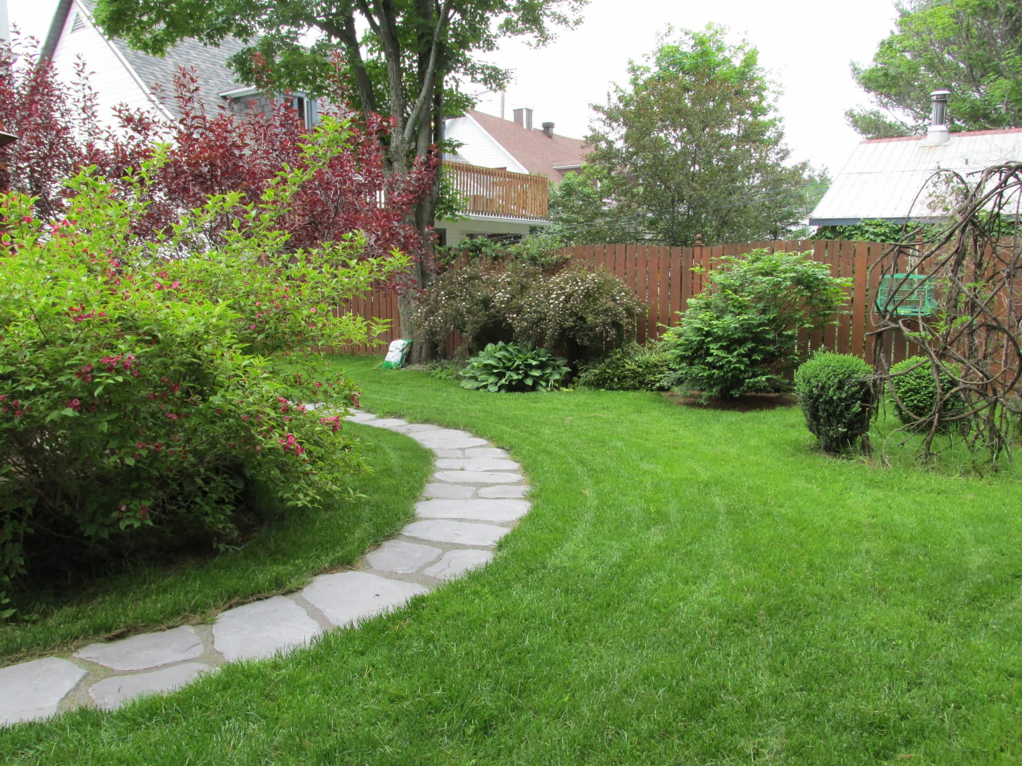 photo L'Effeuilleuse