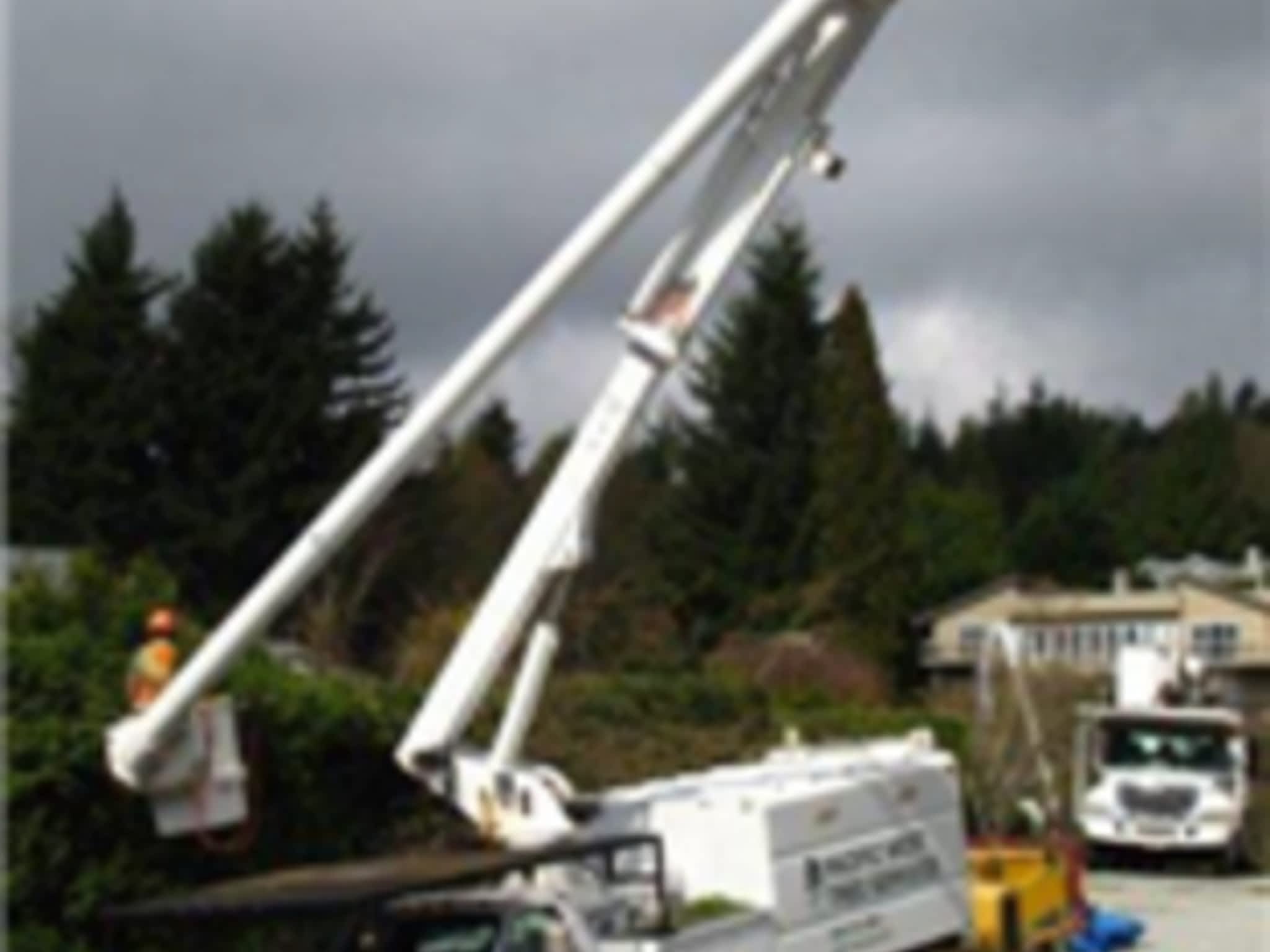 photo Pacific West Tree Service