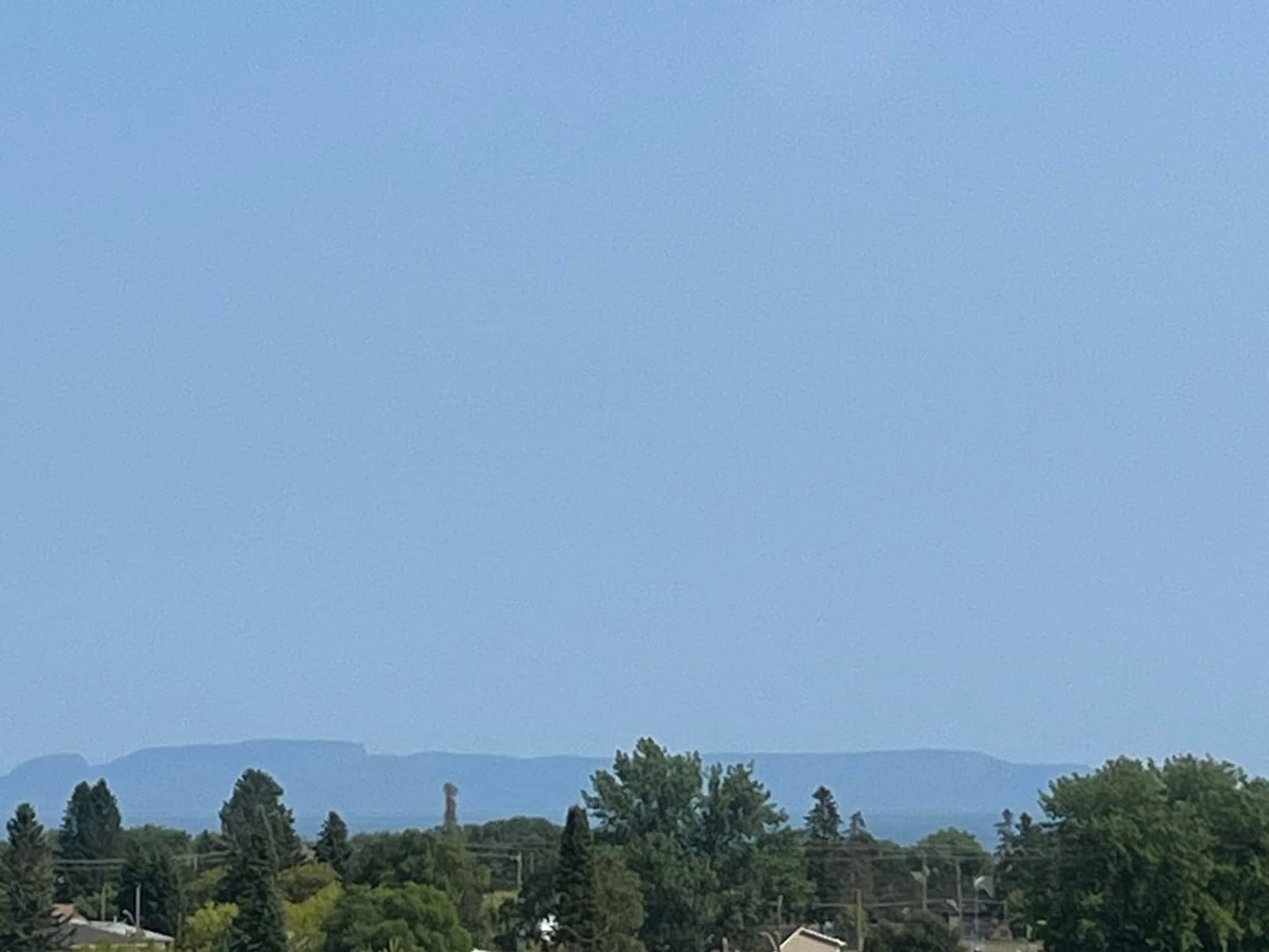 photo Master Tree Service