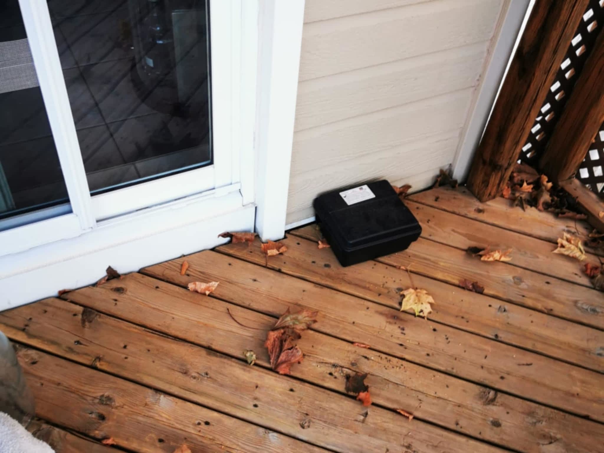 photo D Solution Extermination