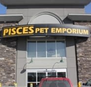 pisces pet emporium fish