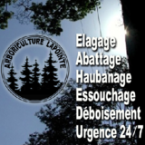 View Arboriculture Lapointe’s Sainte-Anne-des-Lacs profile