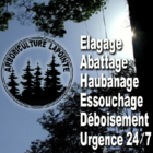 Arboriculture Lapointe - Tree Service
