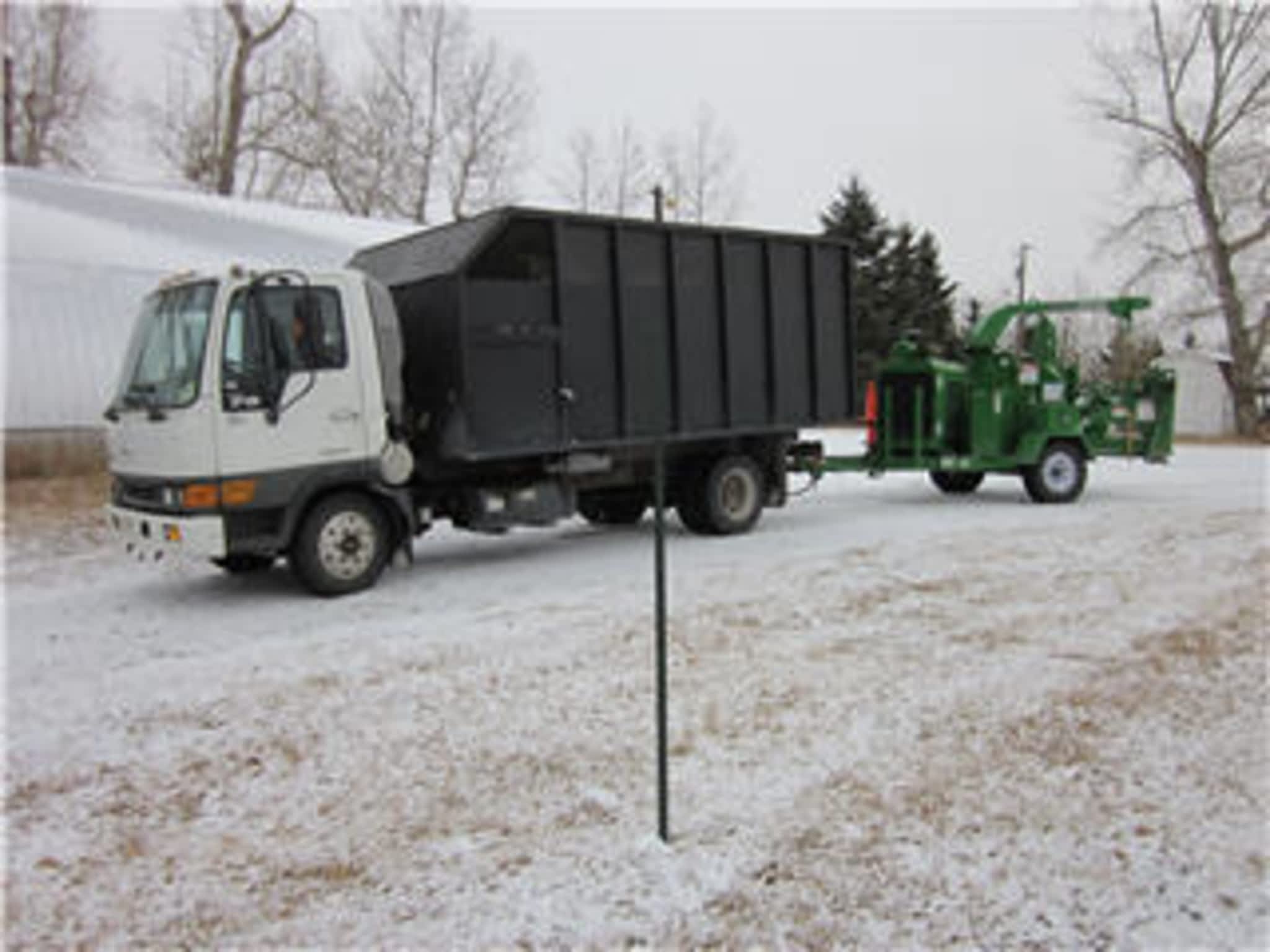 photo Forest Stump Tree Service