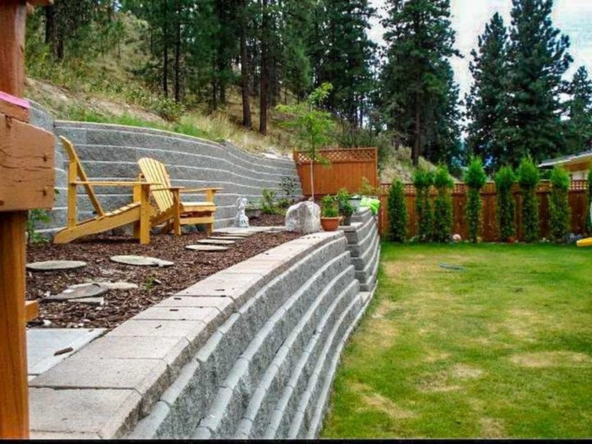 photo Evolutionary Wallscape