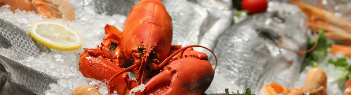 Get hooked on these Toronto fishmongers