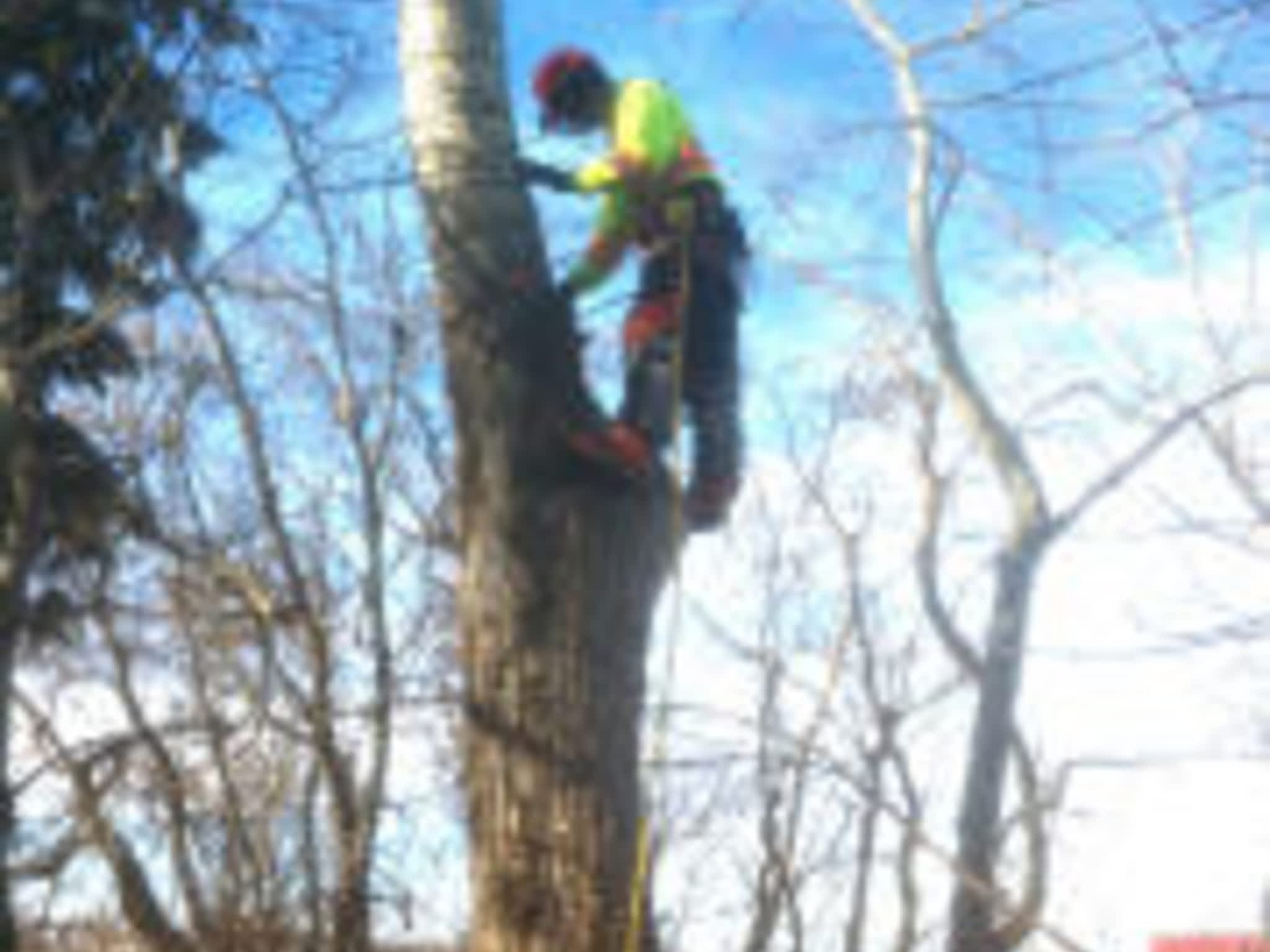 photo Saws'n Ladders