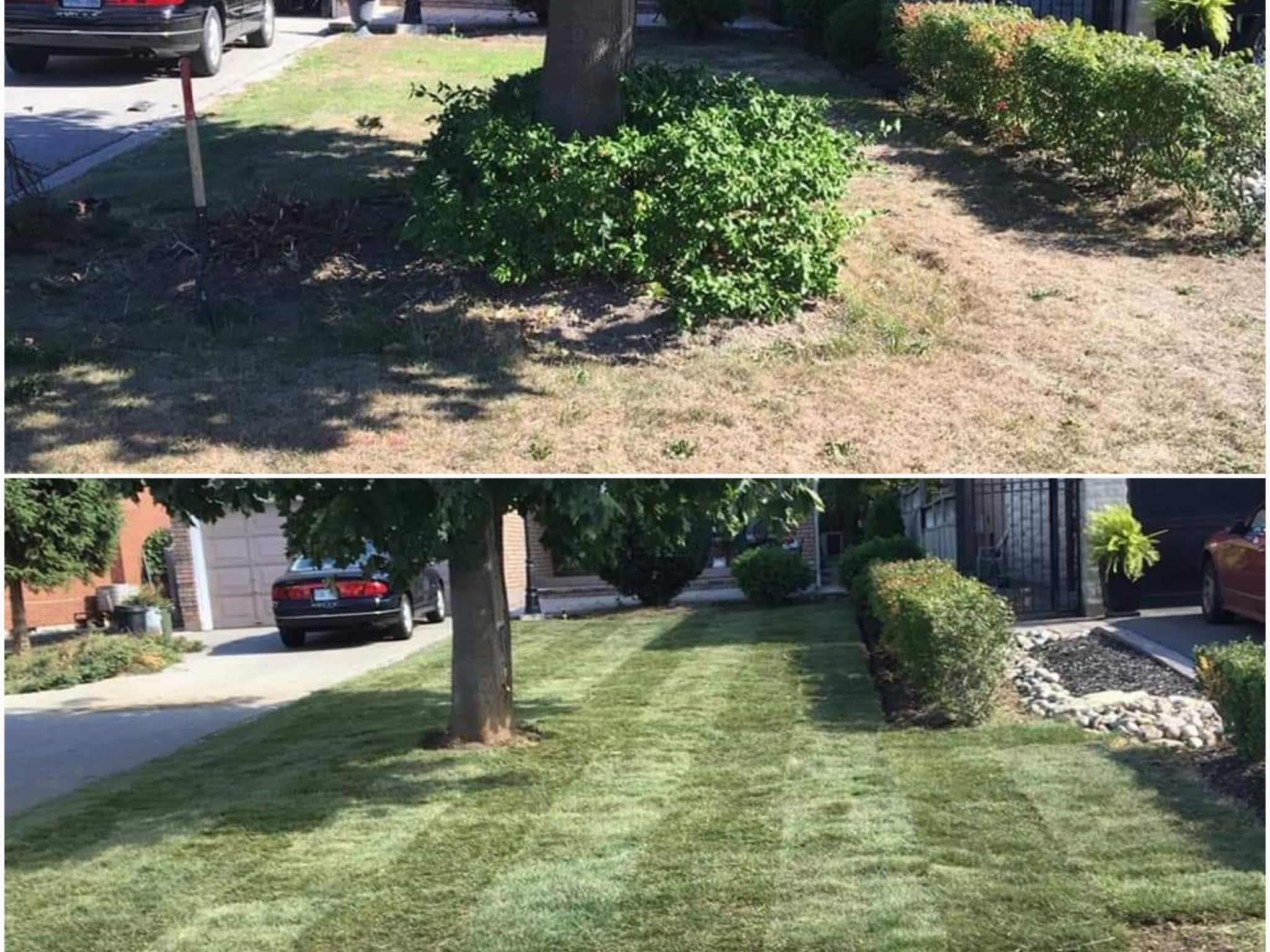 photo Lovegrows Lawncare