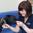 Blue Cross Animal Hospital - Pet Grooming, Clipping & Washing