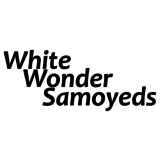View White Wonder Samoyeds’s East St Paul profile