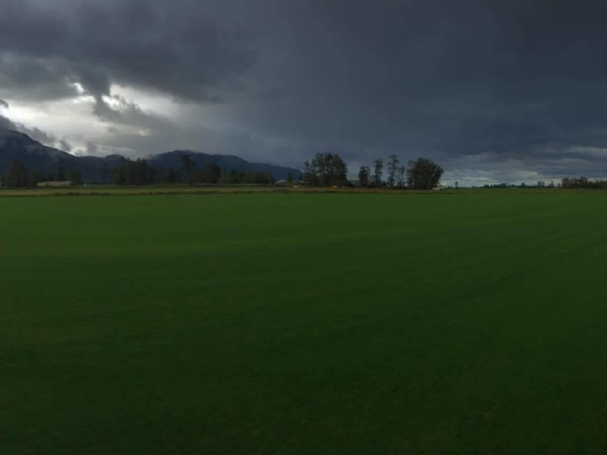 Highland Redi-Green Turf Farms Ltd - Pitt Meadows, BC - 16897 Windsor
