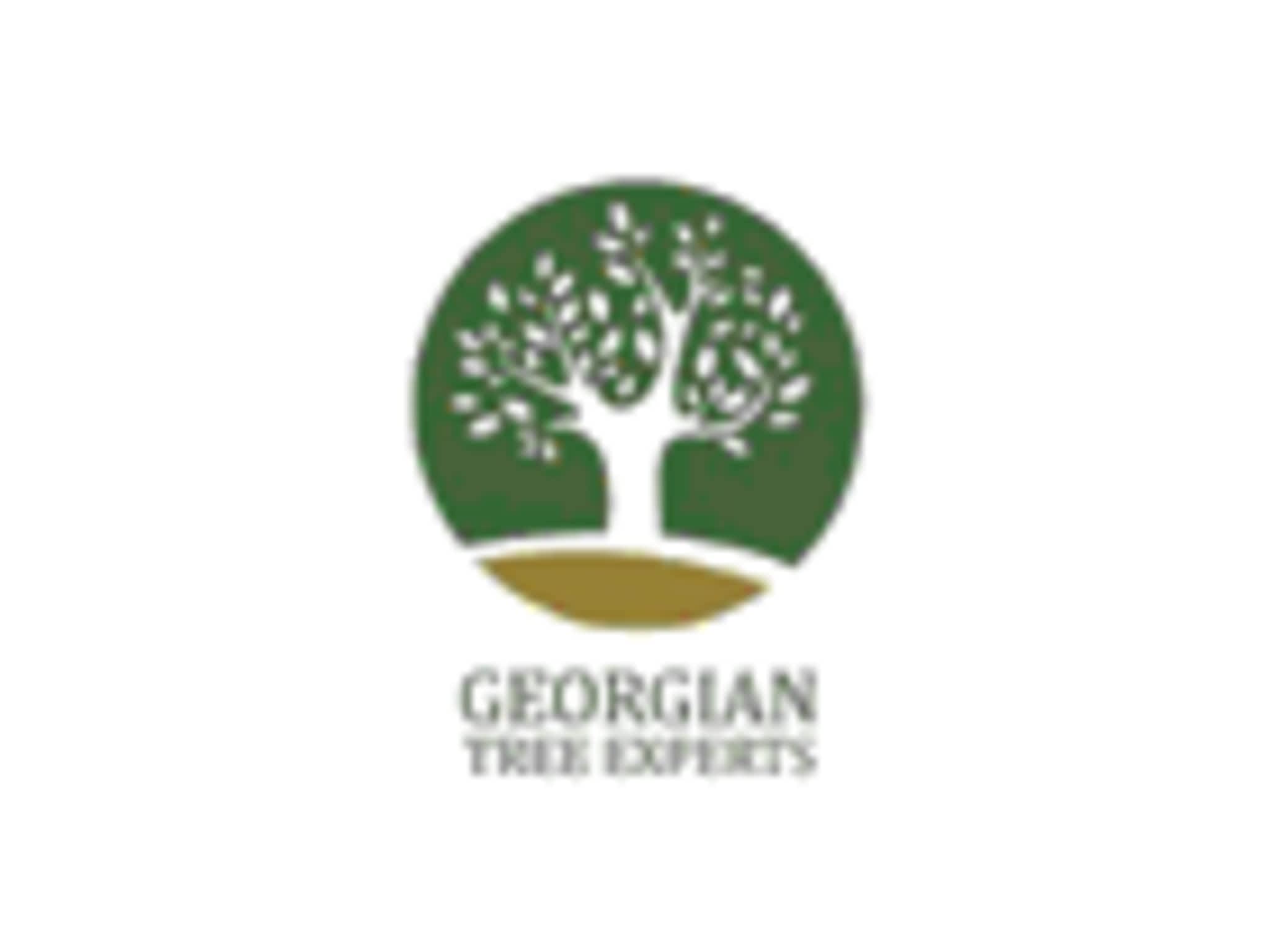 photo Georgian Tree Experts
